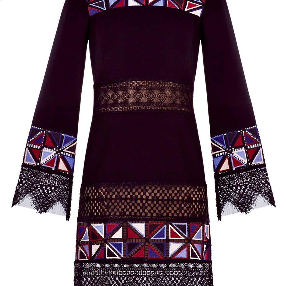 BCBG MAXAzria Runway Laia Embroidered Dress - Picture 4 of 7